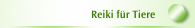 Reiki für Tiere